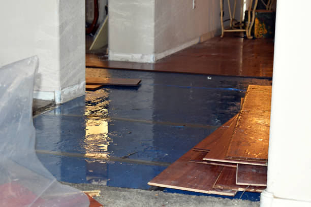 Professional Water Extraction technician working in Christmas, FL